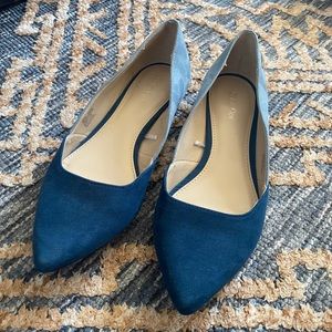 Calvin Klein Flats - Navy and Blue Pointed Shoes